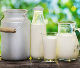 HFM Plate Heat Exchanger Solution for European Modern Dairies Farm