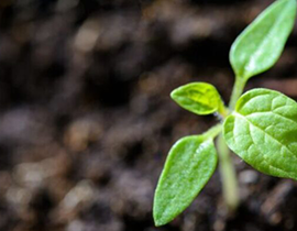 HFM Plate Heat Exchanger Solution for Fertilizer