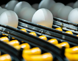 HFM Plate Heat Exchanger Solution for Egg