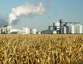 HFM Plate Heat Exchanger Solution for Bioethanol Plant