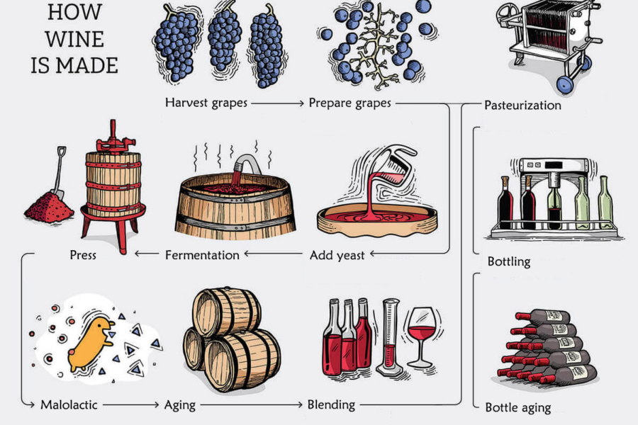 Heat Exchangers for Wine Productions HFM PHE Solutions