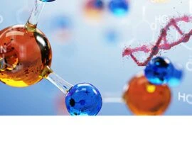 HFM Plate Heat Exchanger Solution for Pharmaceutical